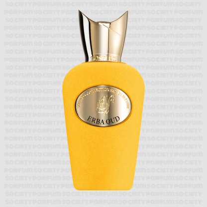 SOSPIRO ERBA OUD 100ML