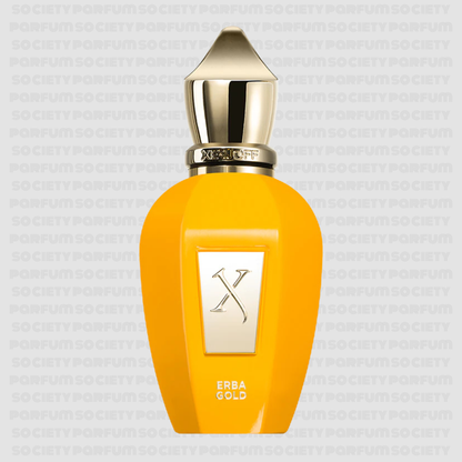 XERJOFF ERBA GOLD 100ML