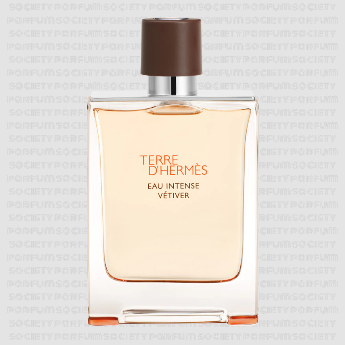 HERMES TERRE DE HERMES INTENSE VETIVER 100 ML