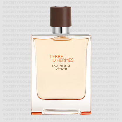HERMES TERRE DE HERMES INTENSE VETIVER 100 ML