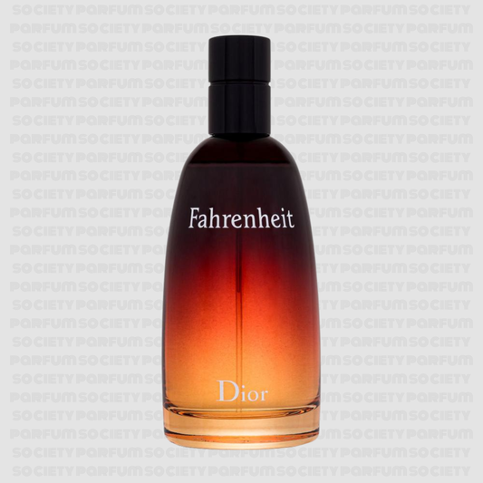 DIOR FAHRENAHIT HOME 100 ML